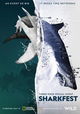 Man vs. Shark