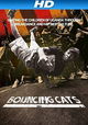 Bouncing Cats
