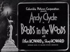 Boobs in the Woods (1940)