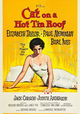 Cat on a Hot Tin Roof