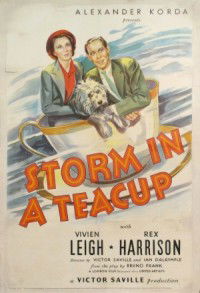Storm in a Teacup (1937)