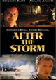 After the Storm