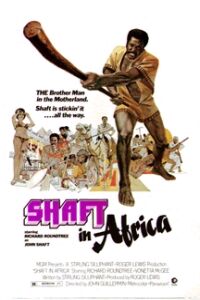 Shaft in Africa