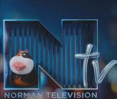 Norman Television (2016)
