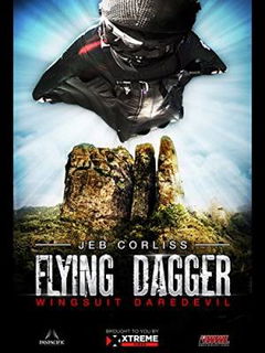 Flying Dagger (2014)
