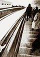 Ticket