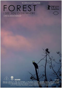 Forest: I See You Everywhere (2021)