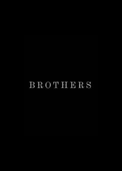 Brothers (2015)