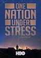 One Nation under Stress