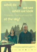What Do We See When We Look at the Sky?