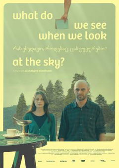 What Do We See When We Look at the Sky? (2021)