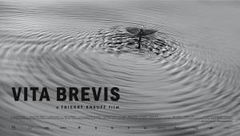 Vita Brevis (2014)