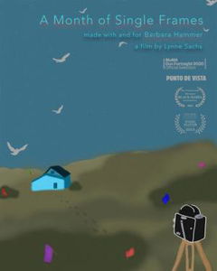 A Month of Single Frames (2019)