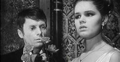 Pavoncello (1969)