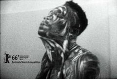 Reluctantly Queer (2016)