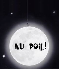 Au poil (2011)