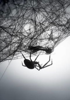Loom (2010)