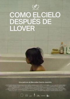 Como el cielo después de llover (2020)