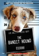 The Bandit Hound