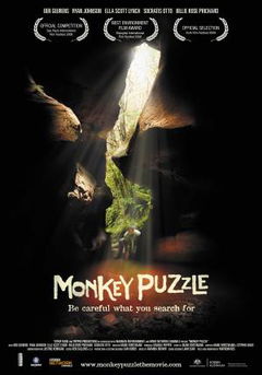 Monkey Puzzle (2008)