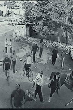 An Unusual Summer (2020)