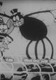 Wise Flies