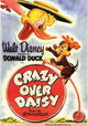 Crazy Over Daisy