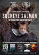 Nature on Tour: Sockeye Salmon