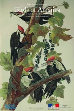 Birds of America (2021)