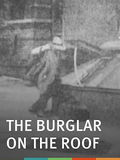 The Burglar on the Roof