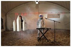 The Yuri Gagarin Goose Chase (2011)