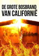 De Grote Bosbrand Van Californië