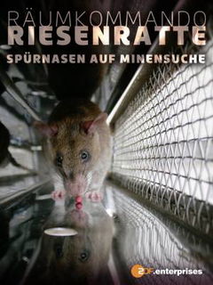 Räumungskommando Riesenratte - Spürnasen auf Minensuche (2008)