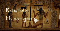 Rätselhafte Hundemumien (2019)