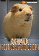 Schlaue Meerschweinchen