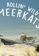 Rollin' Safari: Meerkats