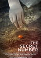 The Secret Number