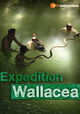 Wallacea - Expedition zur Wiege der Meeresfauna