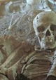 Unsterbliches Pompeji