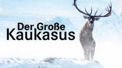 Der groĂźe Kaukasus (2008)
