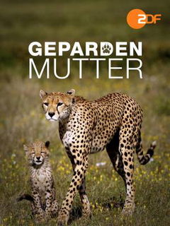 Gepardenmutter (2013)