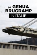 De Genua Brugramp In Italië