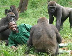 Bama der Gorillamann (2011)