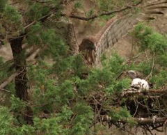 Der Kleine Kaukasus - Zwischen Ararat und Kaspischem Meer (2014)