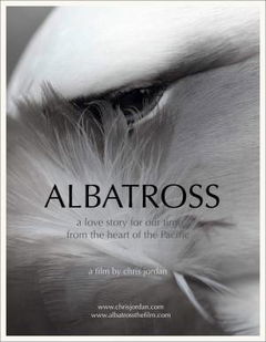 Albatross (2017)