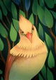 Golden Bird