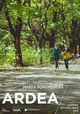 Ardea