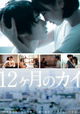 12 months of KAI