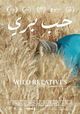 Wild Relatives