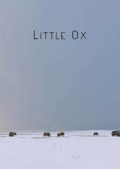 Little Ox (2021)
